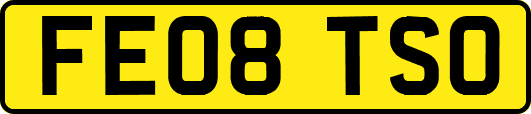 FE08TSO
