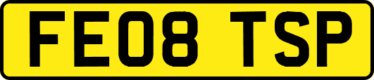 FE08TSP