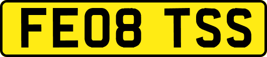 FE08TSS