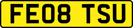 FE08TSU