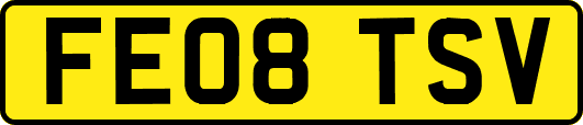 FE08TSV