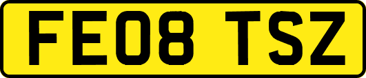 FE08TSZ