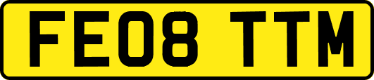FE08TTM