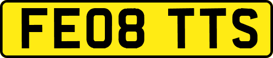 FE08TTS