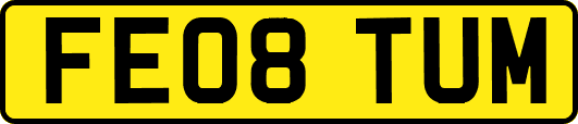 FE08TUM