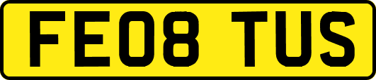 FE08TUS