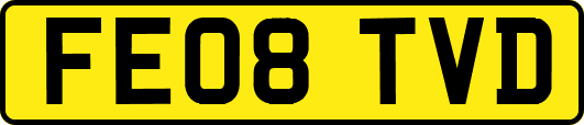 FE08TVD