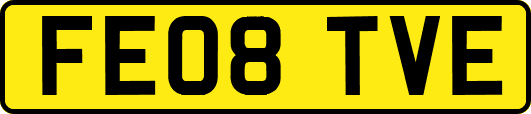 FE08TVE