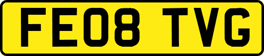 FE08TVG