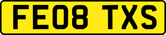 FE08TXS