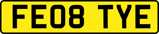 FE08TYE