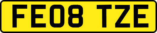 FE08TZE