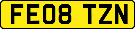 FE08TZN