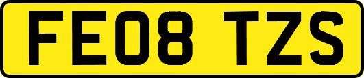 FE08TZS