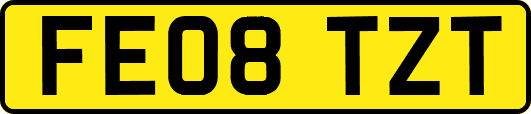 FE08TZT