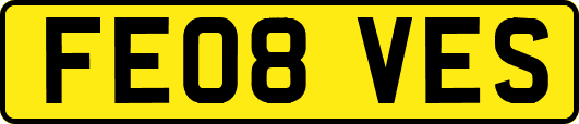 FE08VES