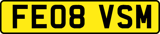 FE08VSM