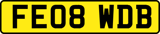 FE08WDB