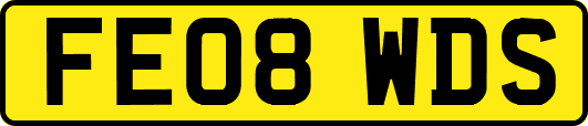 FE08WDS