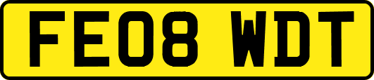 FE08WDT