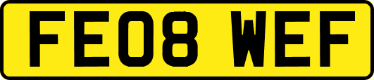 FE08WEF