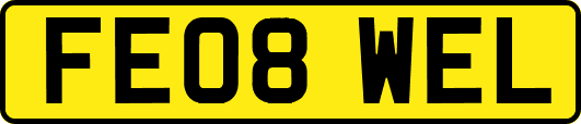 FE08WEL