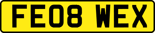 FE08WEX