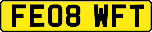 FE08WFT