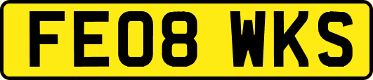 FE08WKS