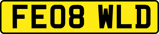 FE08WLD