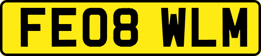 FE08WLM