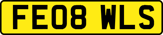 FE08WLS