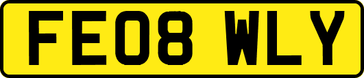 FE08WLY