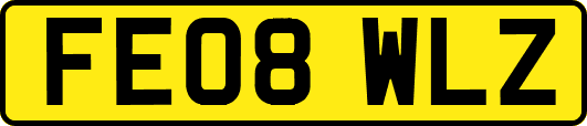 FE08WLZ
