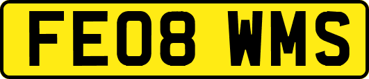 FE08WMS