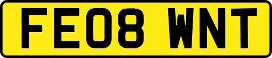 FE08WNT