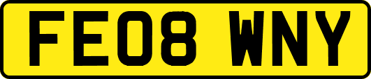 FE08WNY