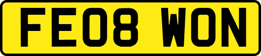 FE08WON