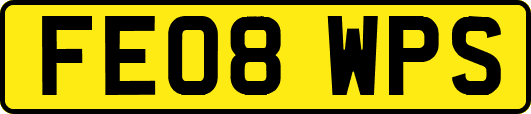 FE08WPS