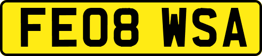 FE08WSA