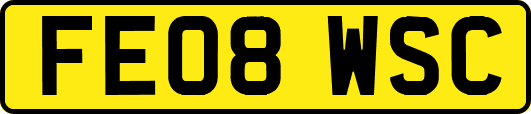 FE08WSC
