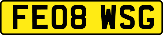 FE08WSG