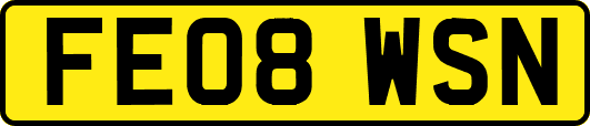FE08WSN
