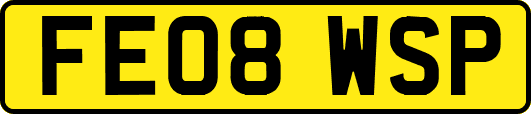 FE08WSP