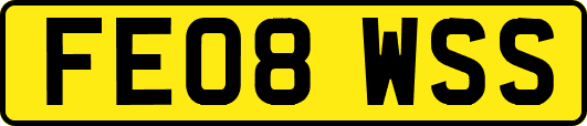 FE08WSS