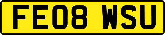 FE08WSU
