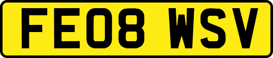 FE08WSV