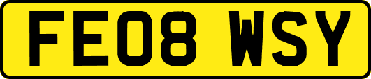 FE08WSY