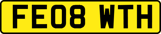 FE08WTH