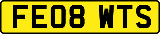 FE08WTS